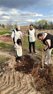 GÖNÜLLÜLÜK ÇALIŞMALARI 2026